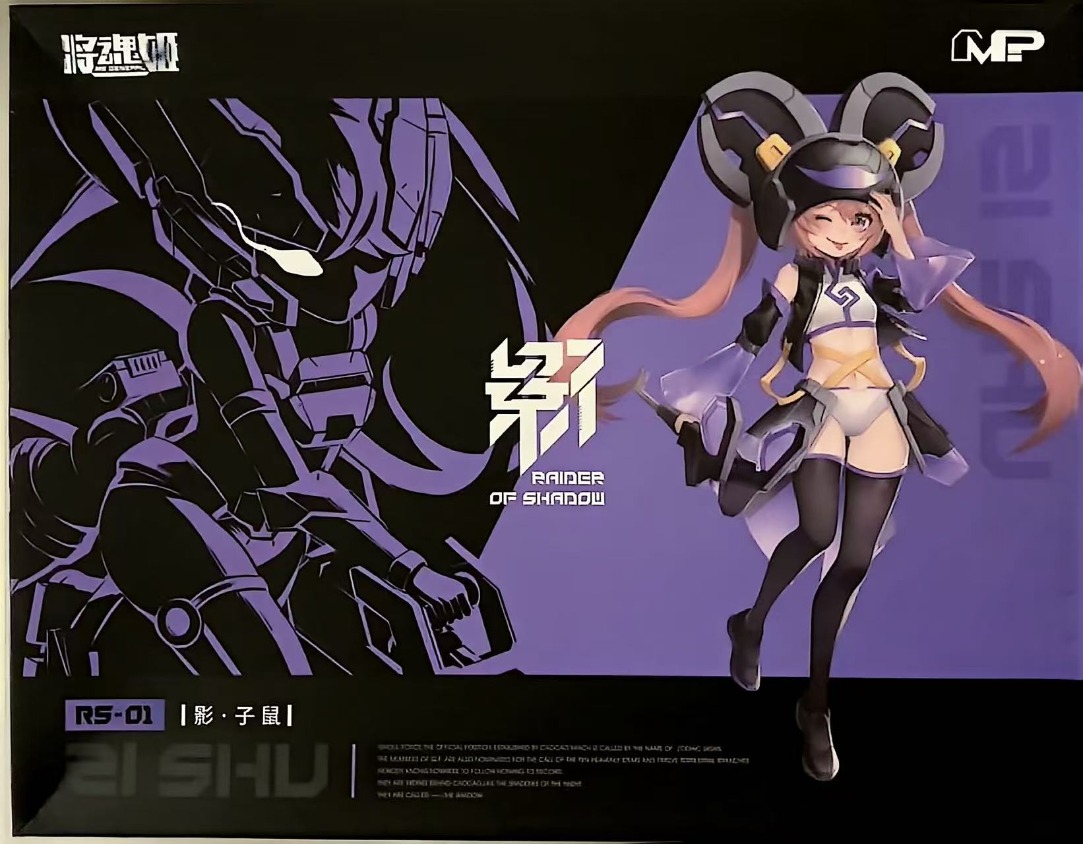 MS GENERAL Raider of Shadow RS – Model Kit Ms General recenzja i cena